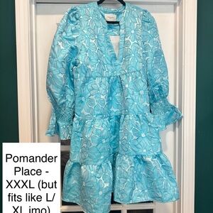 Pomander Place Blue Floral Dress